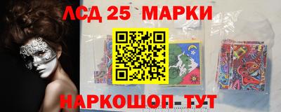 гидропоника Аша