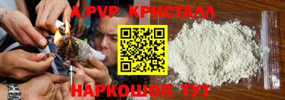 СК Ачхой-Мартан